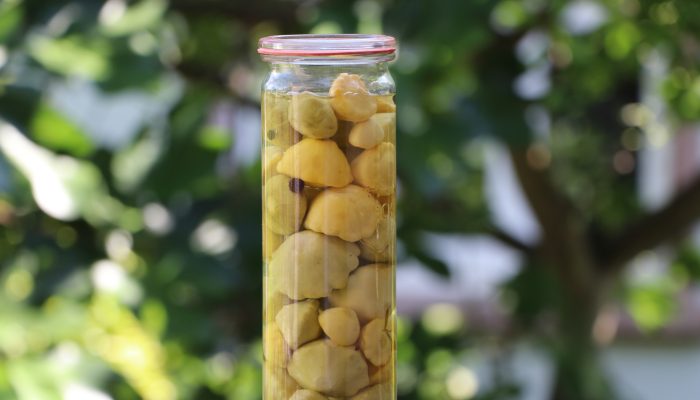 Nos Pâtissons, bocal de 60 cl.