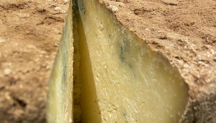 Bleu de Termignon